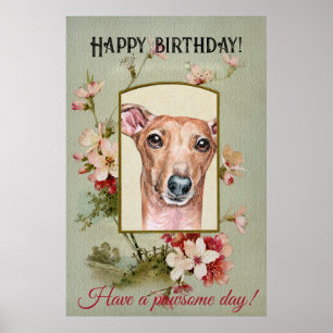 Happy Birthday Greetings Italiaans Greyhound Poster