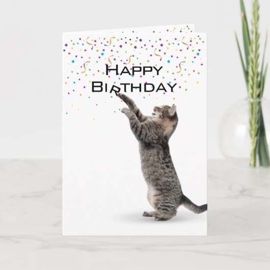 Happy Birthday Grey Tabby Cat Kaart (Voorkant)