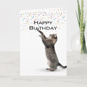 Happy Birthday Grey Tabby Cat Kaart
