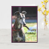 Happy Birthday Greyhound wenskaart Kaart (Gele Bloem)