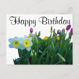 Happy Birthday groots Daffodil #2 Briefkaart