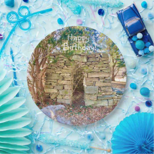 Happy Birthday History Buff Papieren Bordje (Feest)