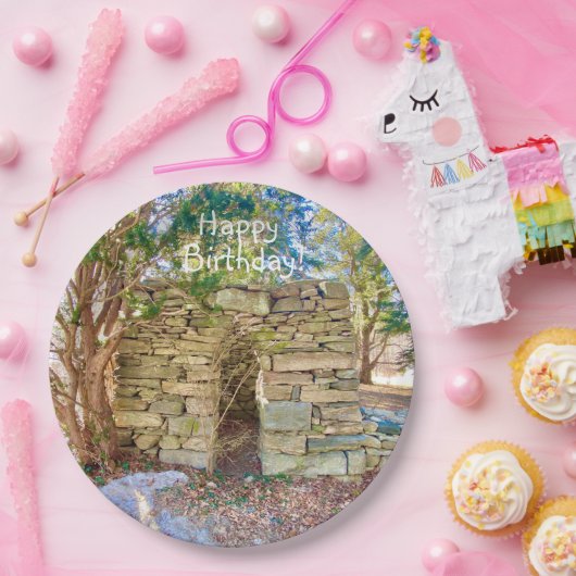 Happy Birthday History Buff Papieren Bordje (Feest)