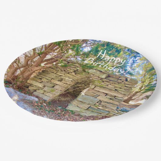 Happy Birthday History Buff Papieren Bordje (Gekanteld)