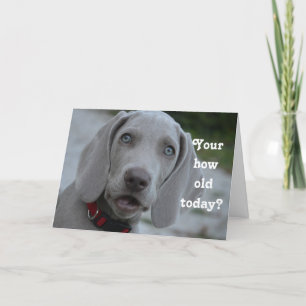 Happy Birthday Hond Humor Kaart
