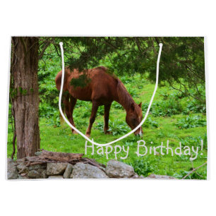 Happy Birthday Horse Groot Cadeauzakje