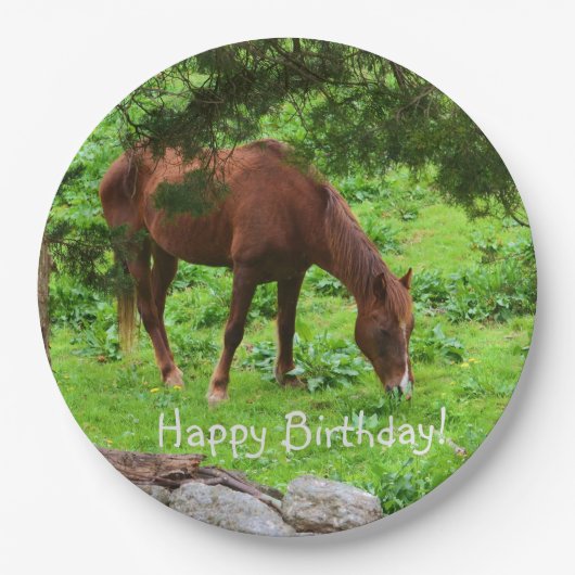 Happy Birthday Horse Papieren Bordje (Voorkant)