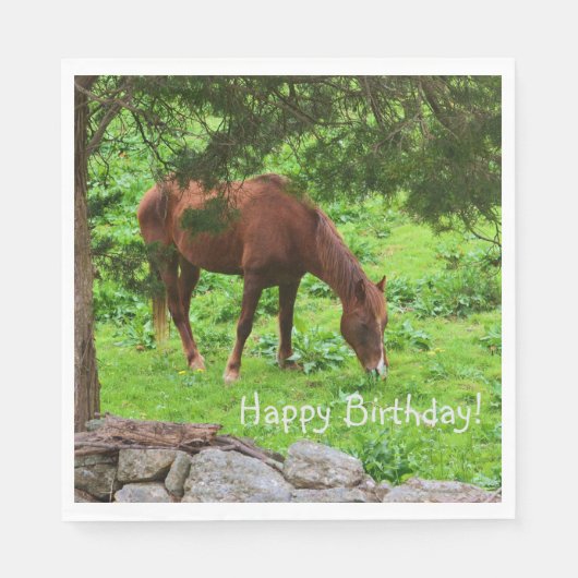 Happy Birthday Horse Servet (Voorkant)