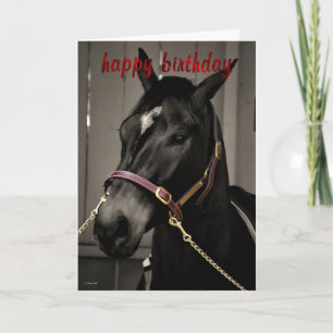 Happy Birthday Horse Verjaardagskaart paardenliefh Kaart