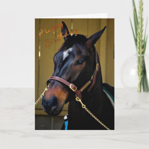 Happy Birthday Horse Verjaardagskaart paardenliefh Kaart