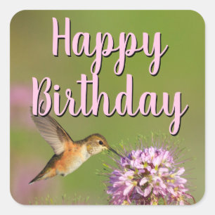 Happy Birthday Hummingbird Vierkante Sticker