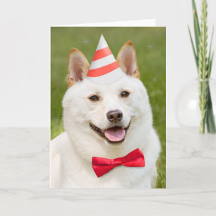 Happy Birthday Iedereen die een hond uit de partij Feestdagen Kaart