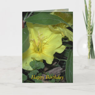 Happy Birthday Kaart