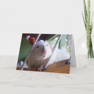 Happy Birthday Kaart