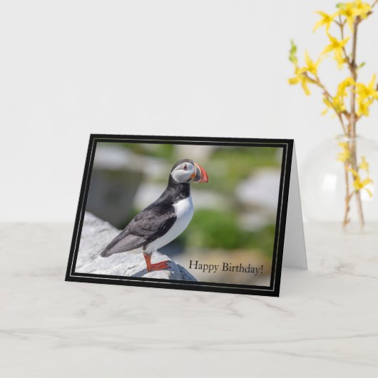 Happy Birthday Kaart Atlantic Puffin (Gele Bloem)
