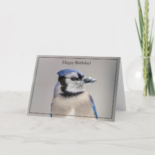 Happy Birthday Kaart Blue Jay