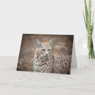 Happy Birthday Kaart Bobcat
