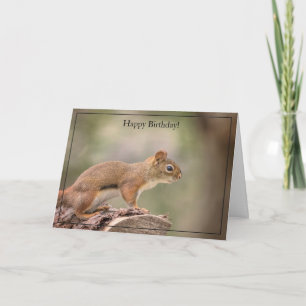 Happy Birthday Kaart Red Squirrel