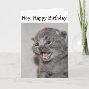Happy Birthday Kaart: Verrast grijs Kitten Kaart