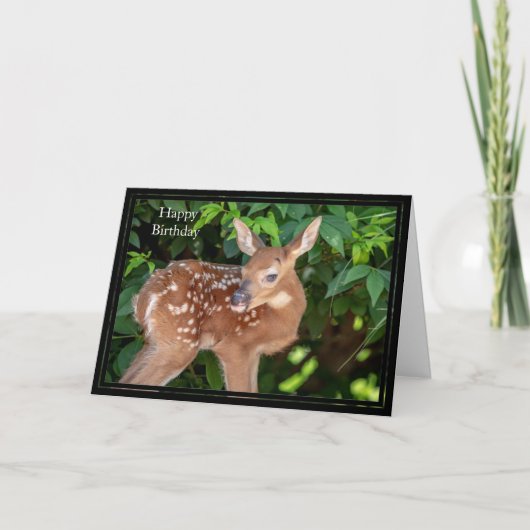 Happy Birthday Kaart White-Tailed Deer Fawn (Voorkant)