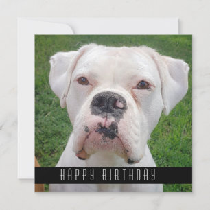 Happy Birthday-kaarten met honden Aankondiging