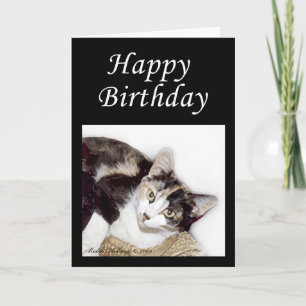 Happy Birthday Kat Kaart