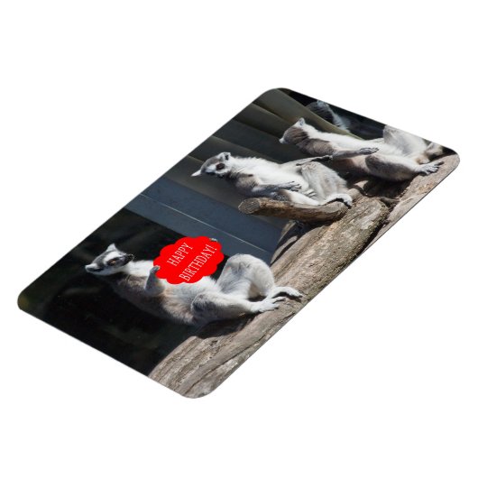 Happy Birthday Katta Magneet (Linkerzijde)