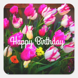 Happy Birthday Kerstdroom en Affaire #1-1 Vierkante Sticker