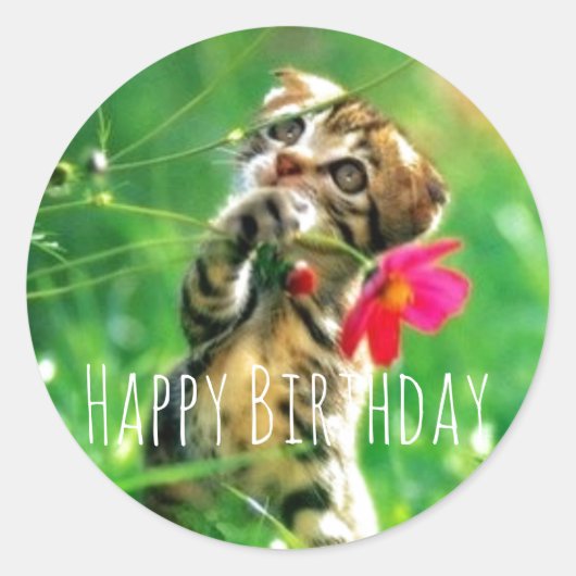 Happy Birthday Kitten Circle Stickers (Voorkant)