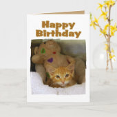 Happy Birthday Kitten Kaart (Gele Bloem)