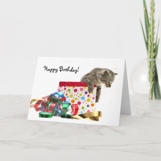 Happy Birthday kitten Kaart (Voorkant)