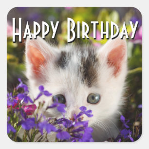 Happy Birthday Kitten Vierkante Sticker