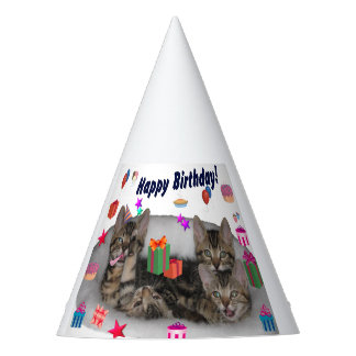 Happy Birthday Kittens Feesthoedjes
