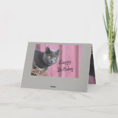Happy Birthday Kitty Cat Kaart (Achterkant)