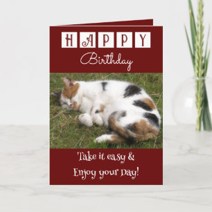 Happy Birthday laat een makkelijke kattenfoto zien Kaart