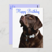 Happy Birthday Labrador Retriever Dog Post Kaart (Voorkant / Achterkant)