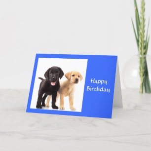Happy Birthday Labrador Retriever Puppies Card Kaart