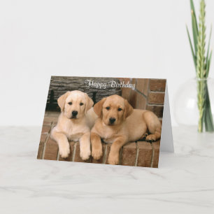 Happy Birthday Labrador Retriever Puppies Card Kaart