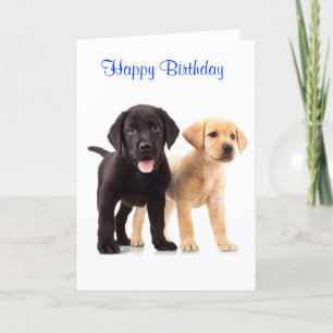Happy Birthday Labrador Retriever Puppies Card Kaart