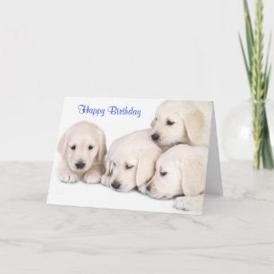Happy Birthday Labrador Retriever Puppies Kaart
