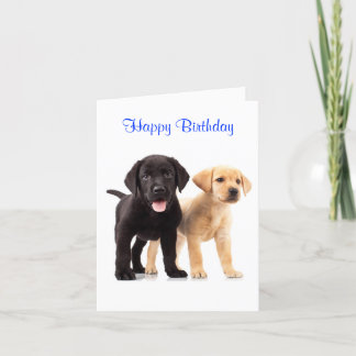 Happy Birthday Labrador Retriever Puppies Kaart