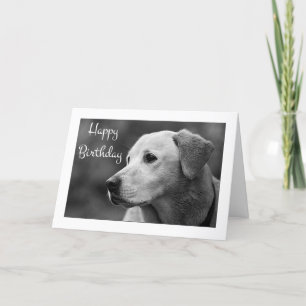 Happy Birthday Labrador Retriever Puppy Card Kaart