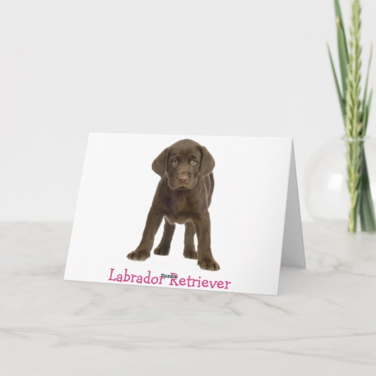 Happy Birthday Labrador Retriever Puppy Dog Card Kaart (Achterkant)