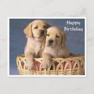 Happy Birthday Labrador Retriever Puppy Post Card Briefkaart