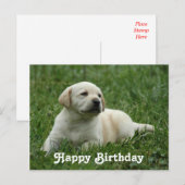 Happy Birthday Labrador Retriever Puppy Post Kaart (Voorkant / Achterkant)