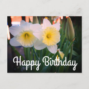 Happy Birthday Large-Cupped Daffodil Briefkaart