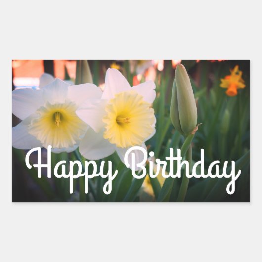 Happy Birthday Large-Cupped Daffodil Stickers (Voorkant)