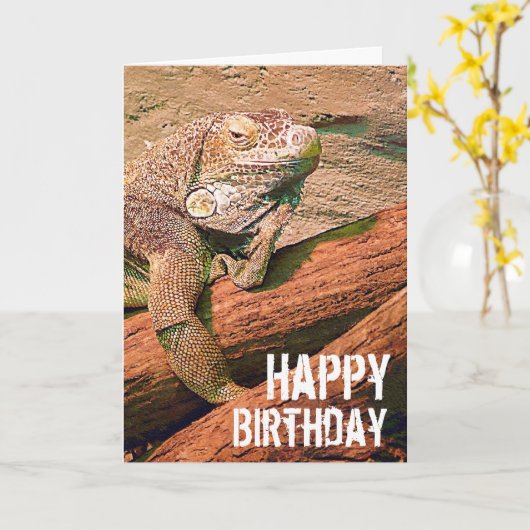 Happy Birthday  - Lazy Lounge Lizard Chillaxing Kaart (Gele Bloem)