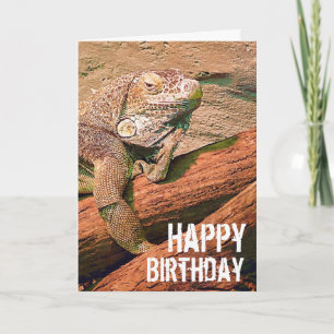 Happy Birthday  - Lazy Lounge Lizard Chillaxing Kaart