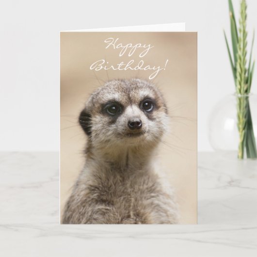 Happy Birthday Meerkat Kaart (Voorkant)